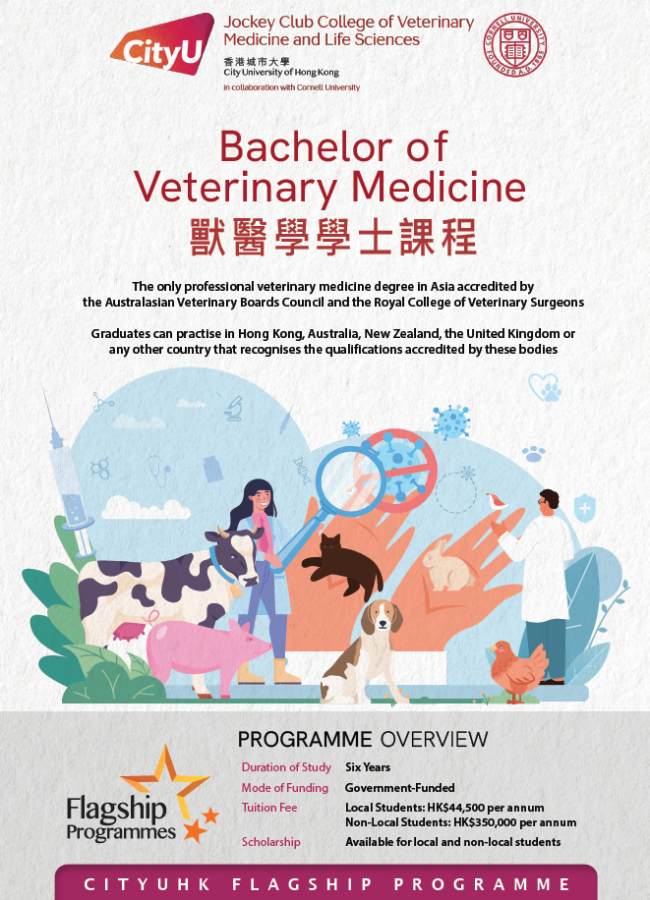 BVM leaflet 2025_for web_20250226_v2