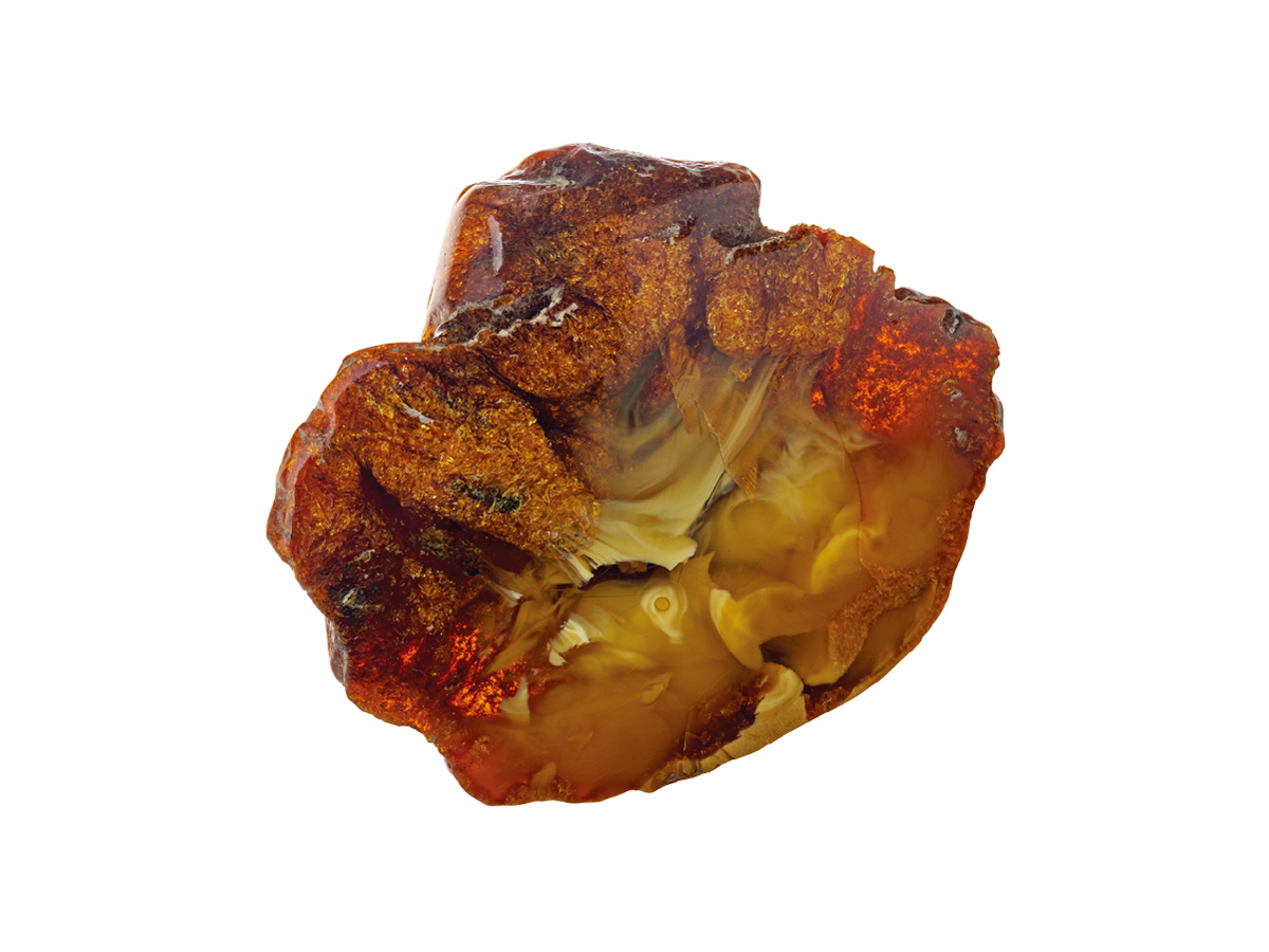 Amber_S01_image04.jpg