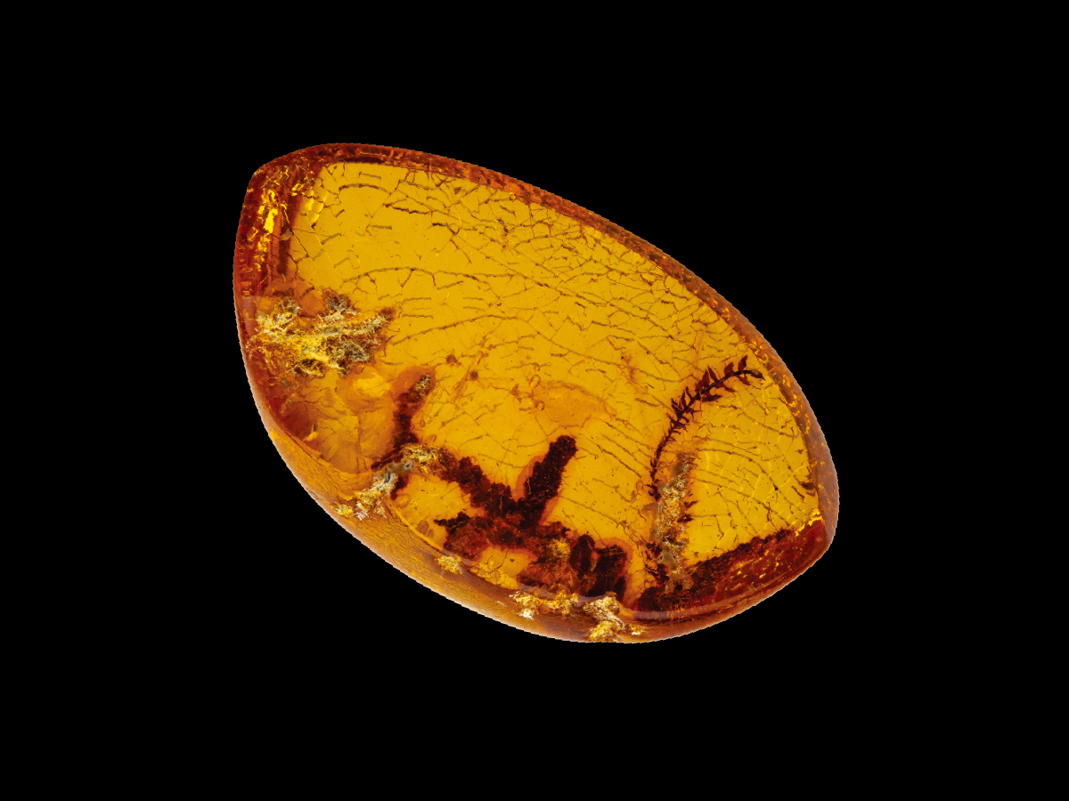 Amber_S01_image07.jpg