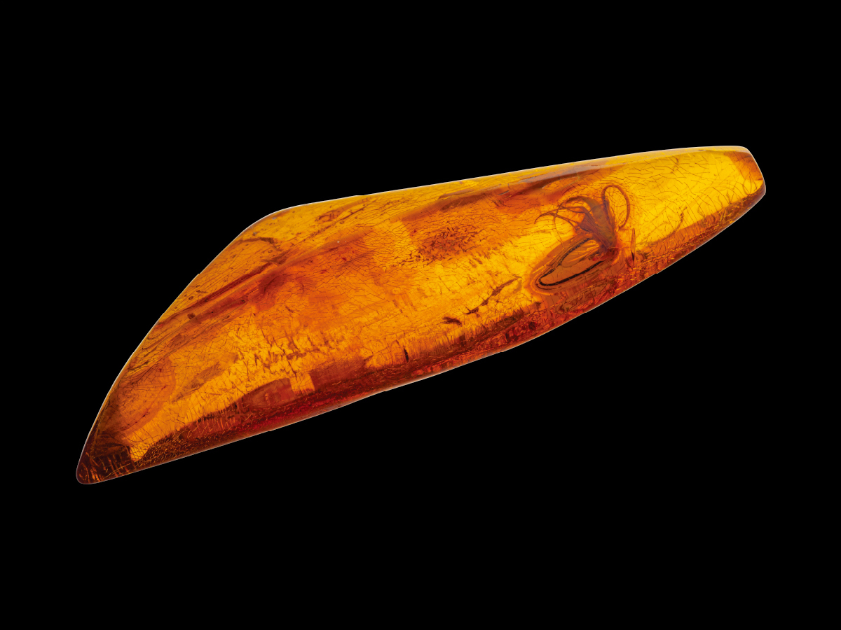 Amber_S01_image10.jpg