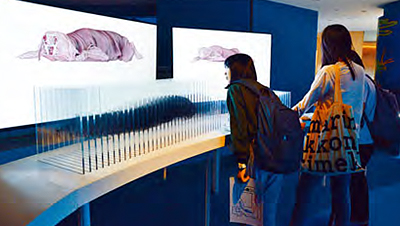 Media-Animal_Online_02.jpg