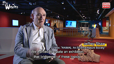 Media-Animal_Video_01.jpg