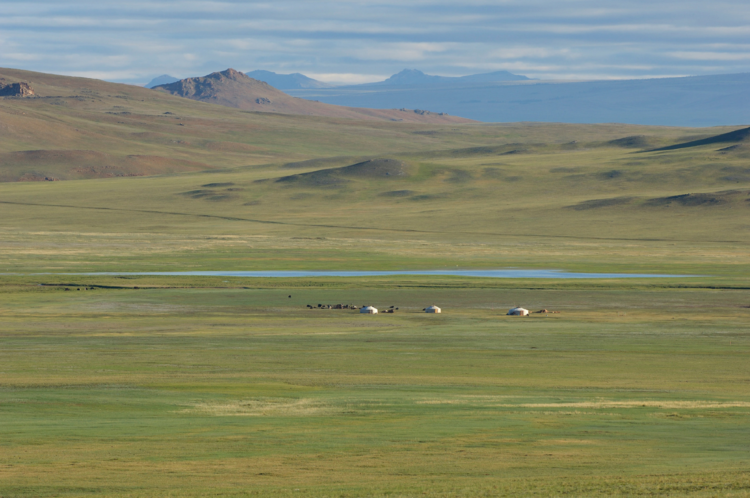 Nomad_S01_image01.png