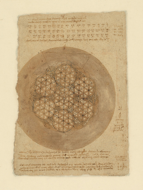 Objects_Leonardo_04.jpg