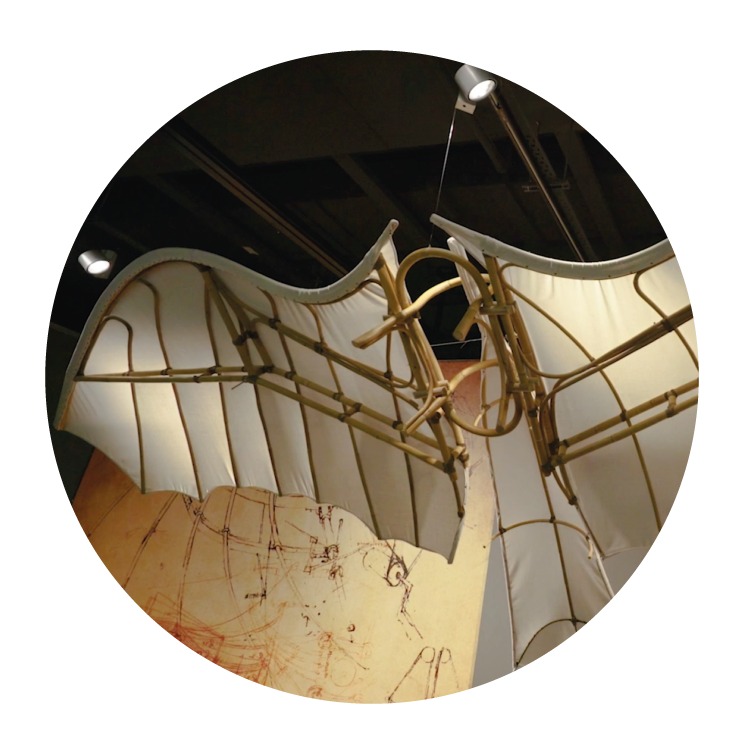 VT_Leonardo_mouseover_photo_04.png