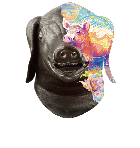 pig.png