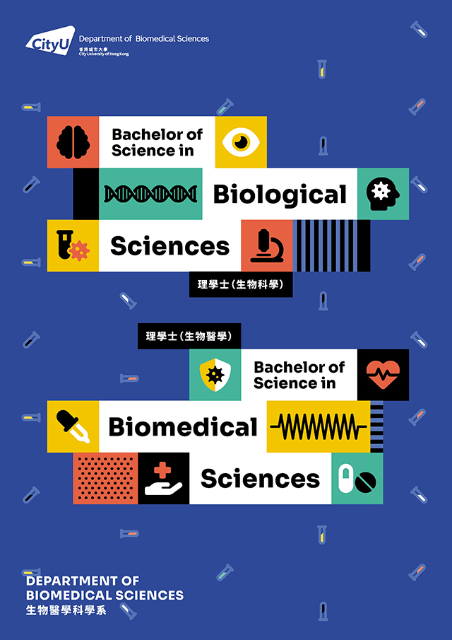 UG Programme Leaflet