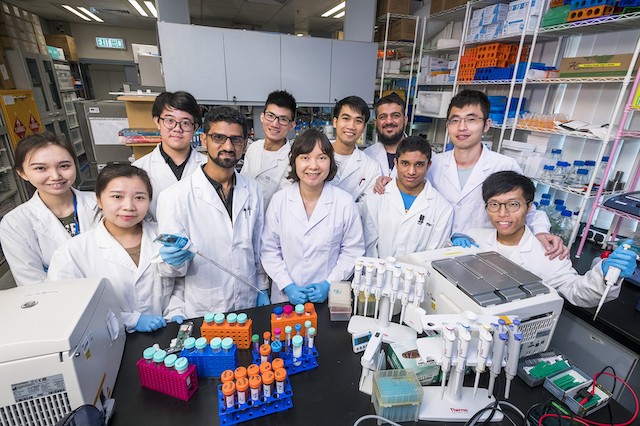 Cancer breakthrough for drug delivery