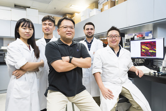 First dual stem cell therapy brings new hope for cardiac repair