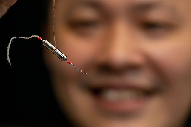 Discovery of ray sperms’ unique swimming motion and demonstration with bio-inspired robot