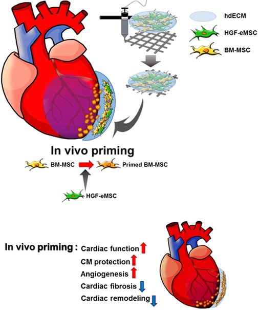 Figure 3 Figure 3