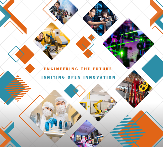 Undergraduate Programme