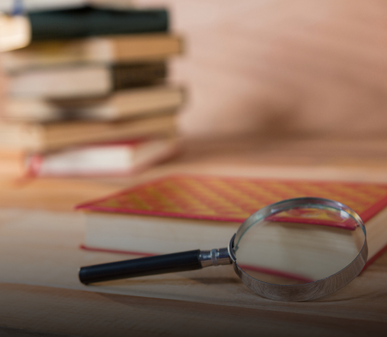Undergraduate Programme
