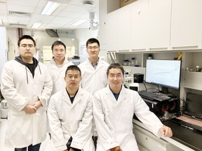 CityUHK Scientists Develop Switchable WS? Nanosheets for Smarter Electronics and Sensors