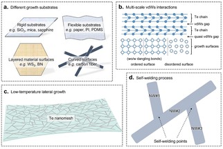 low-temperature synthesis method for high-quality tellurium nanomesh for next-generation electronics