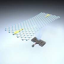 White graphene: high defect tolerance and elasticity unveiled by CityU nanomechanics experts