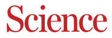 Science