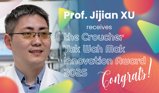 XU Jijian
