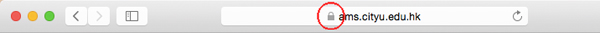 Lock Icon of Safari MacOS