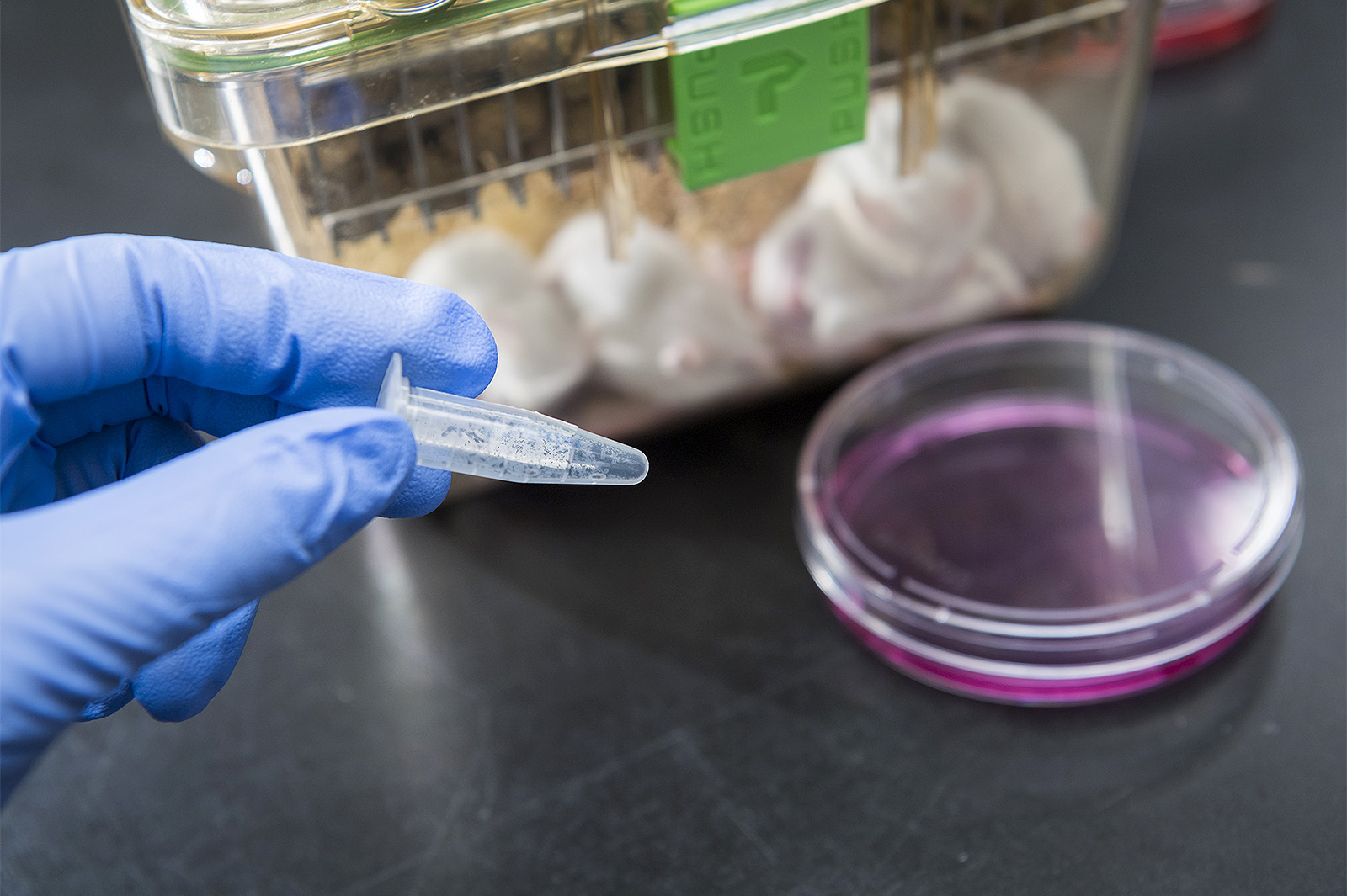 Anti-cancer treatment