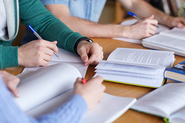Study Plan