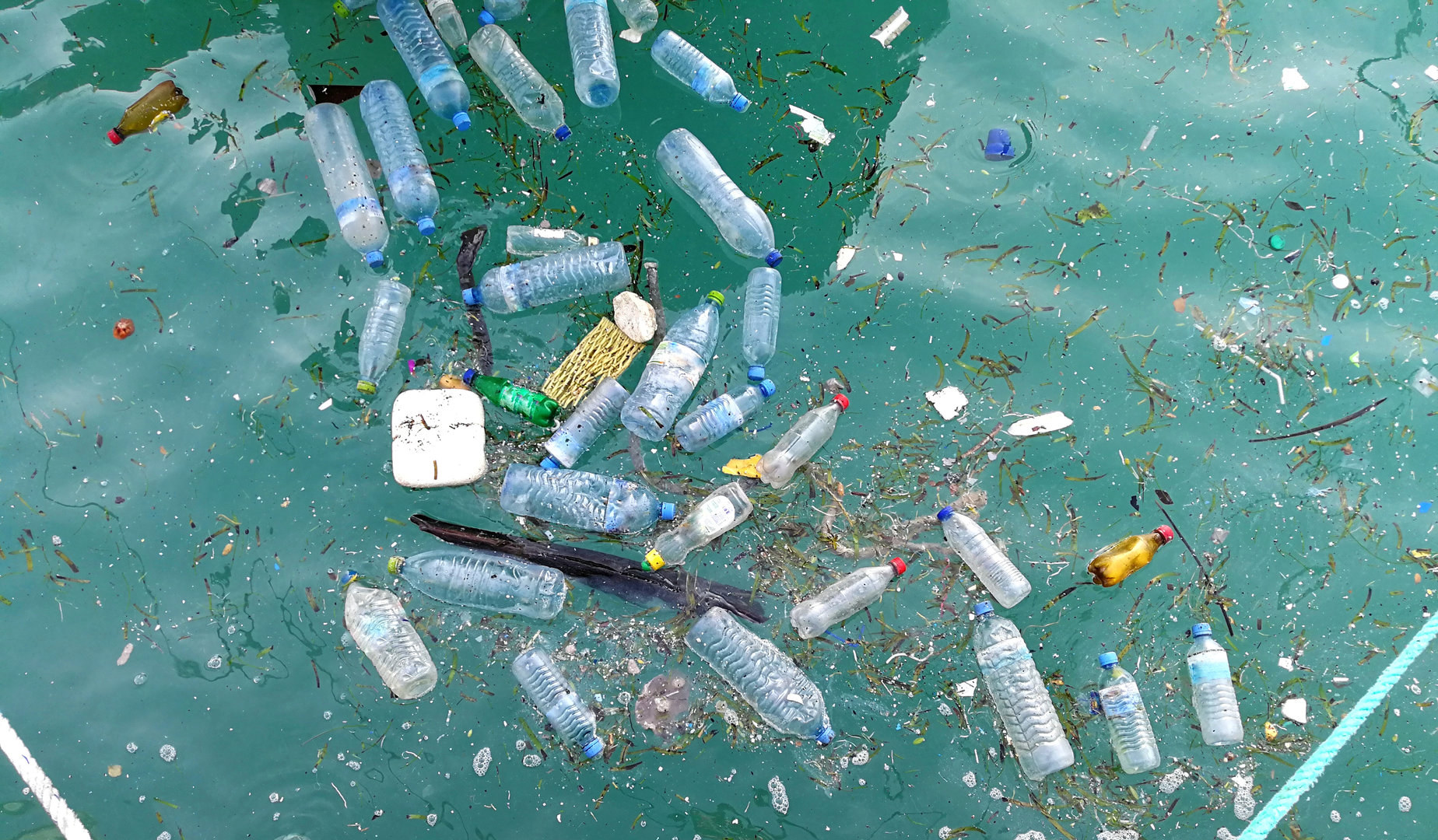 Pollution in the Marine