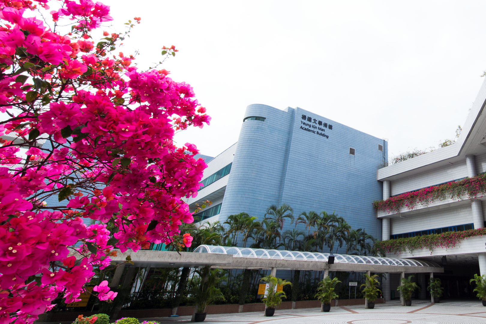 College of Science