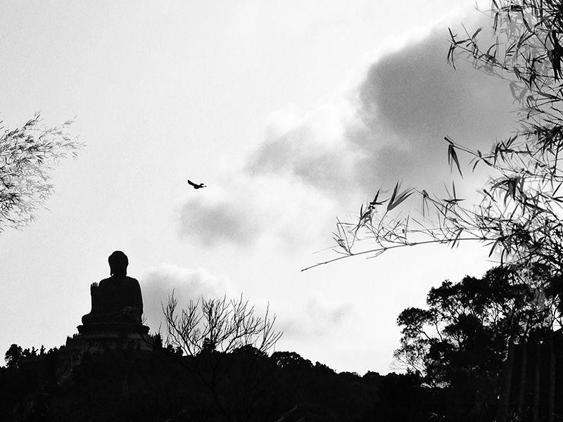 Lunch Time Meditation