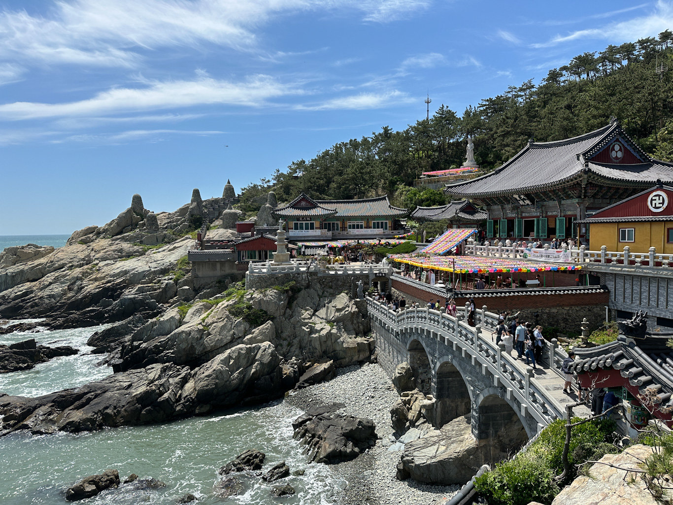 CXO 8 Days Cultural Tour to Busan and Gyeongju (Korea)