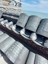 CXO 8 Days Cultural Tour to Busan and Gyeongju (Korea)