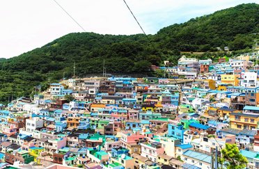 CXO 8 Days Cultural Tour to Busan and Gyeongju, Korea