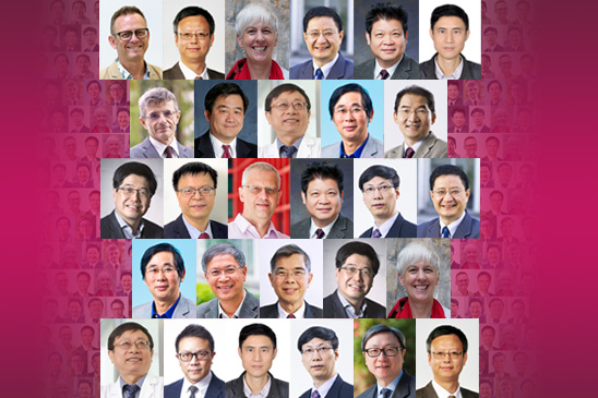 Named Chair Professorship