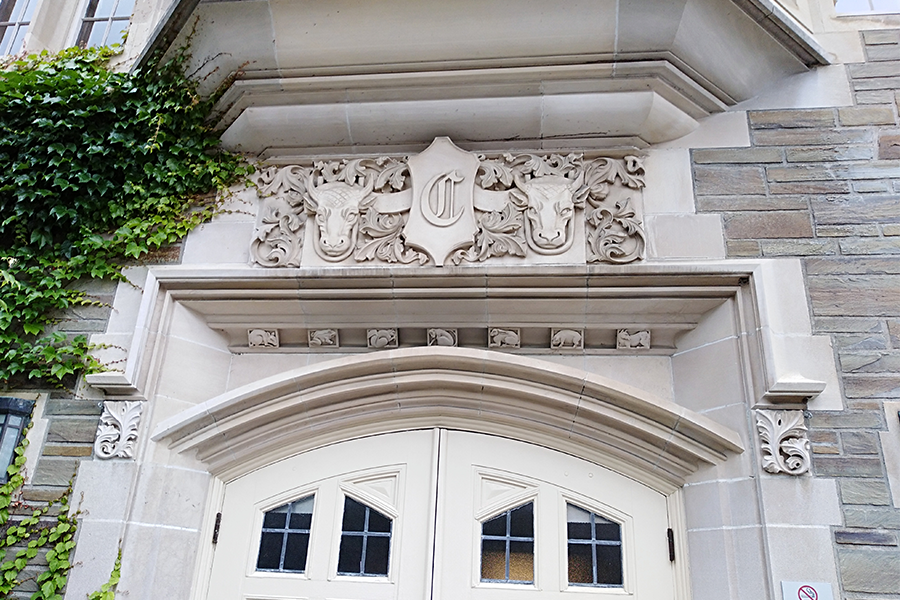 cornell