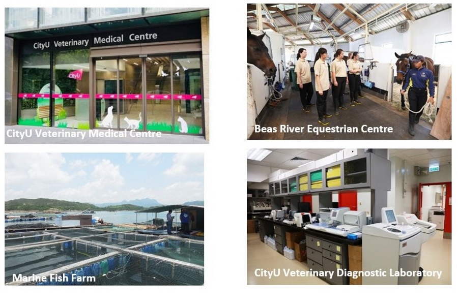Facilities(2)