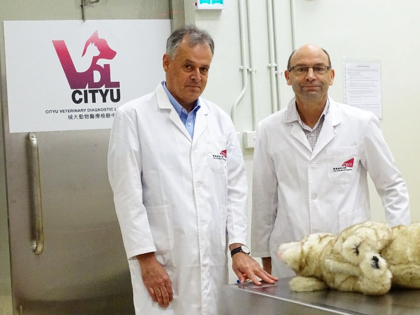 Prof. Reichel (Dean of CVMLS) and Dr Hill (Director of CityU VDL)