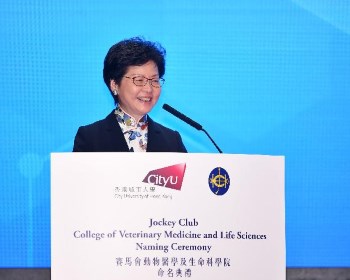 Carrie Lam