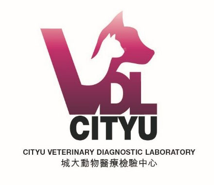 VDL