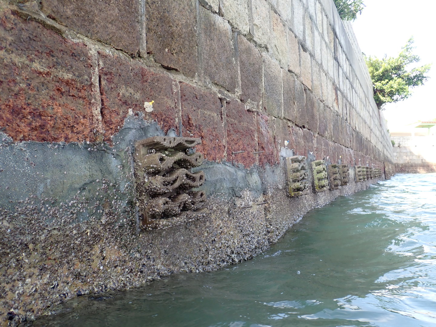 PA150432.JPG