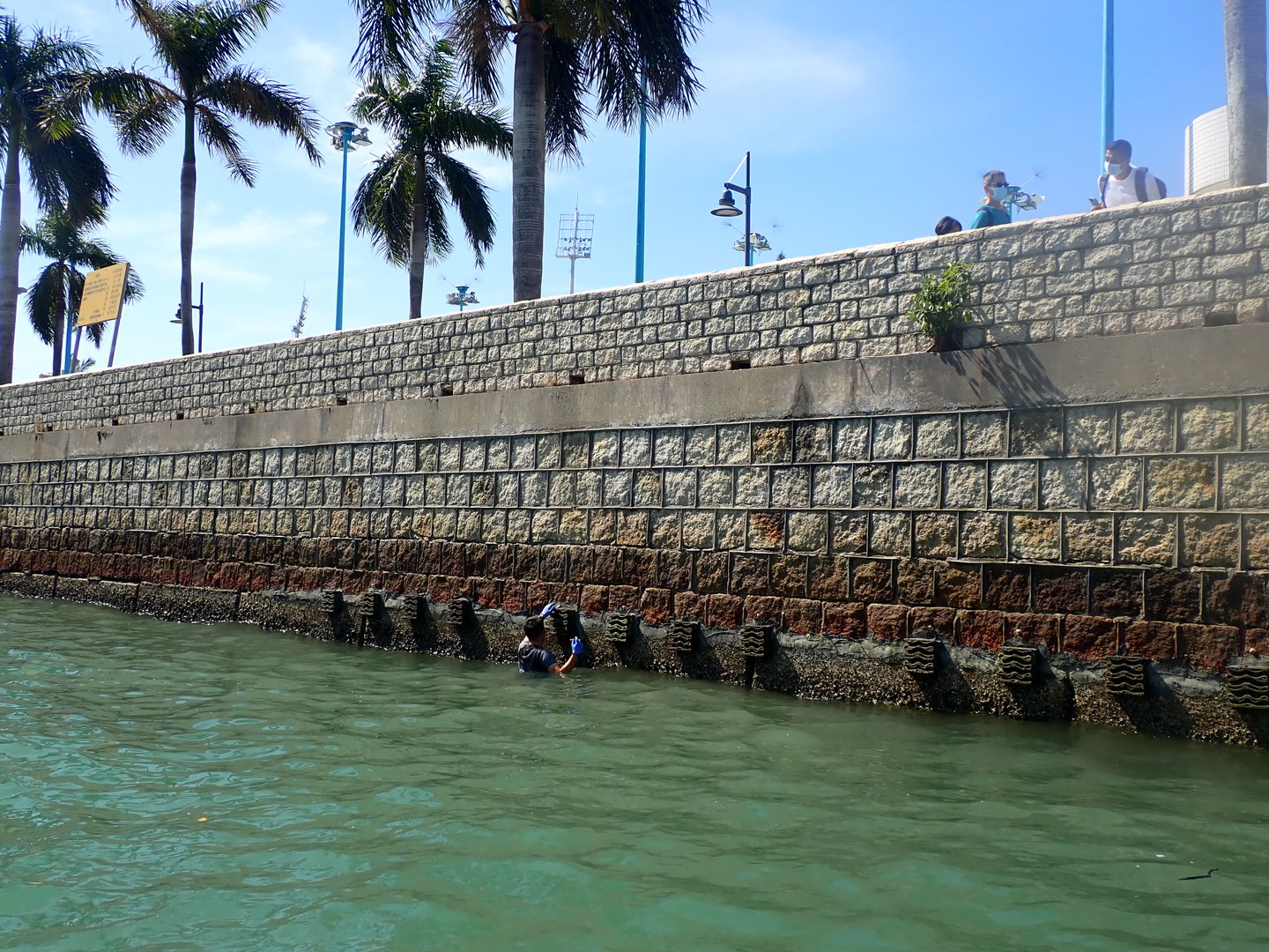 PA270034.JPG