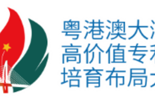 Guangdong-Hong Kong-Macao Greater Bay Area High-value Patent Portfolio Layout Competition 2023
