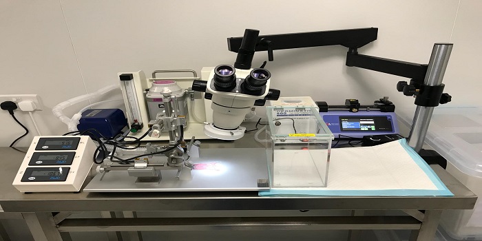 LARU Procedure Room