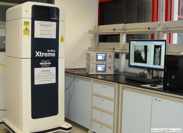 Stratasys Dimension SST 1200es 3D Printer