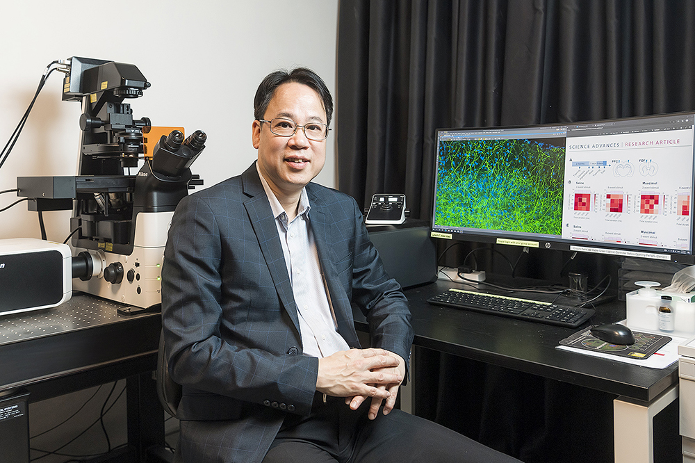 Can animals count? Neuroscientists at CityUHK and CUHK resolve long-standing debate