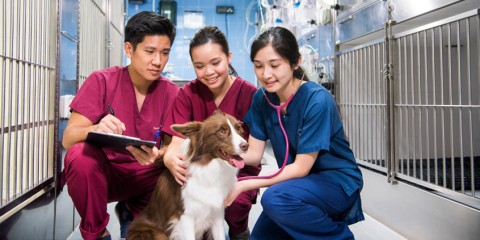 Jockey Club College of Veterinary Medicine and Life Sciences