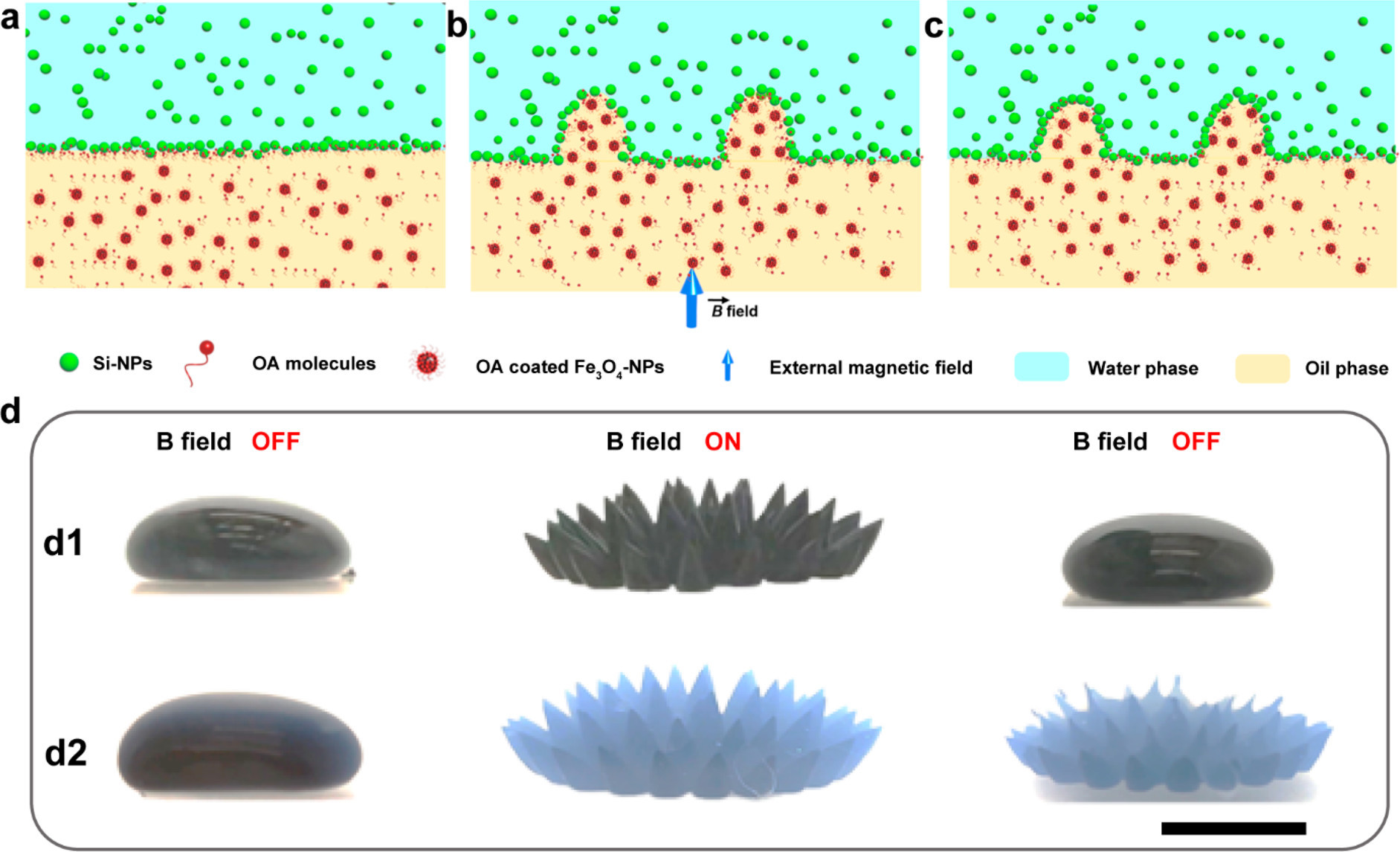 Nano Letters