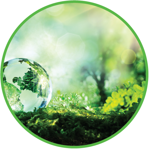 sustainability