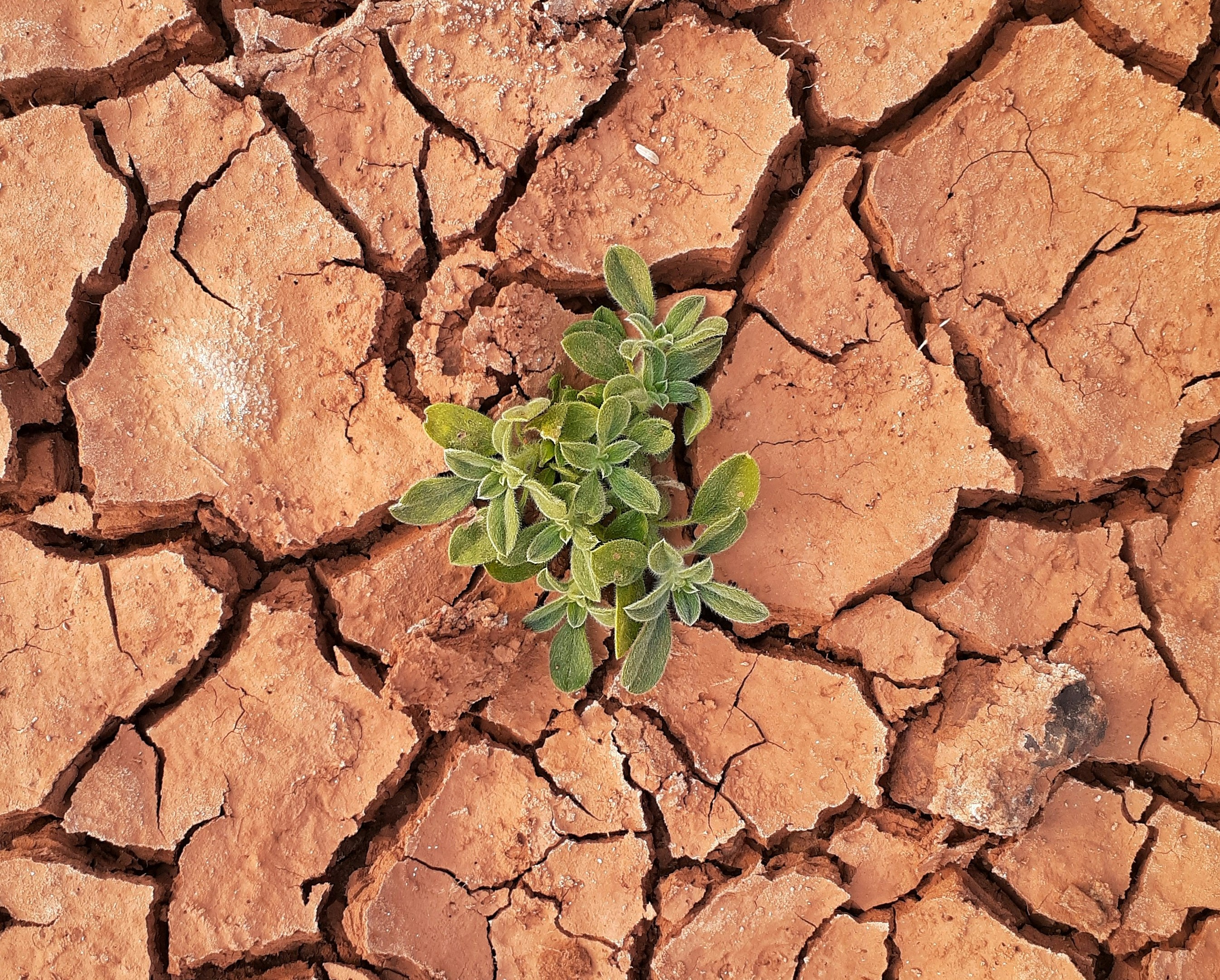 Environmental Justice and Quality of Life