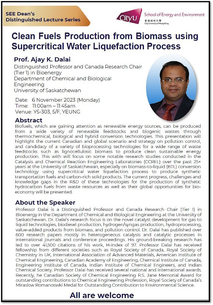Prof Ajay Dalai