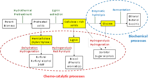 whole_biomass