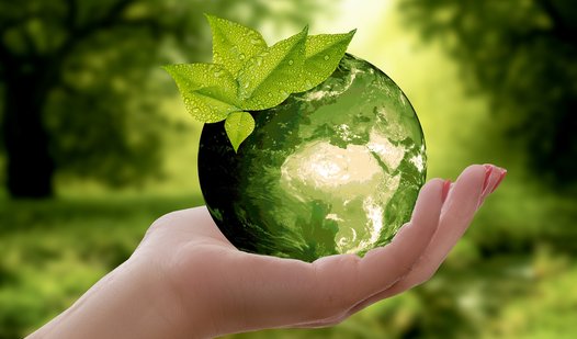 nature-3289812_1920.jpg